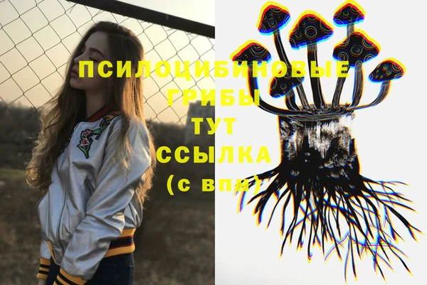 apvp Пролетарск