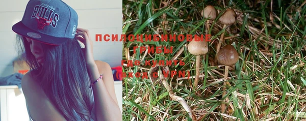 эйфоретик Арсеньев