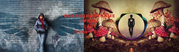 экстази Аркадак