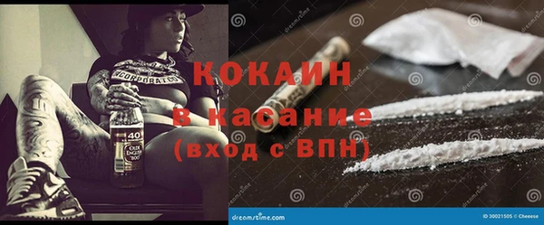 индика Алзамай