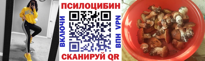 Галлюциногенные грибы GOLDEN TEACHER  Георгиевск 